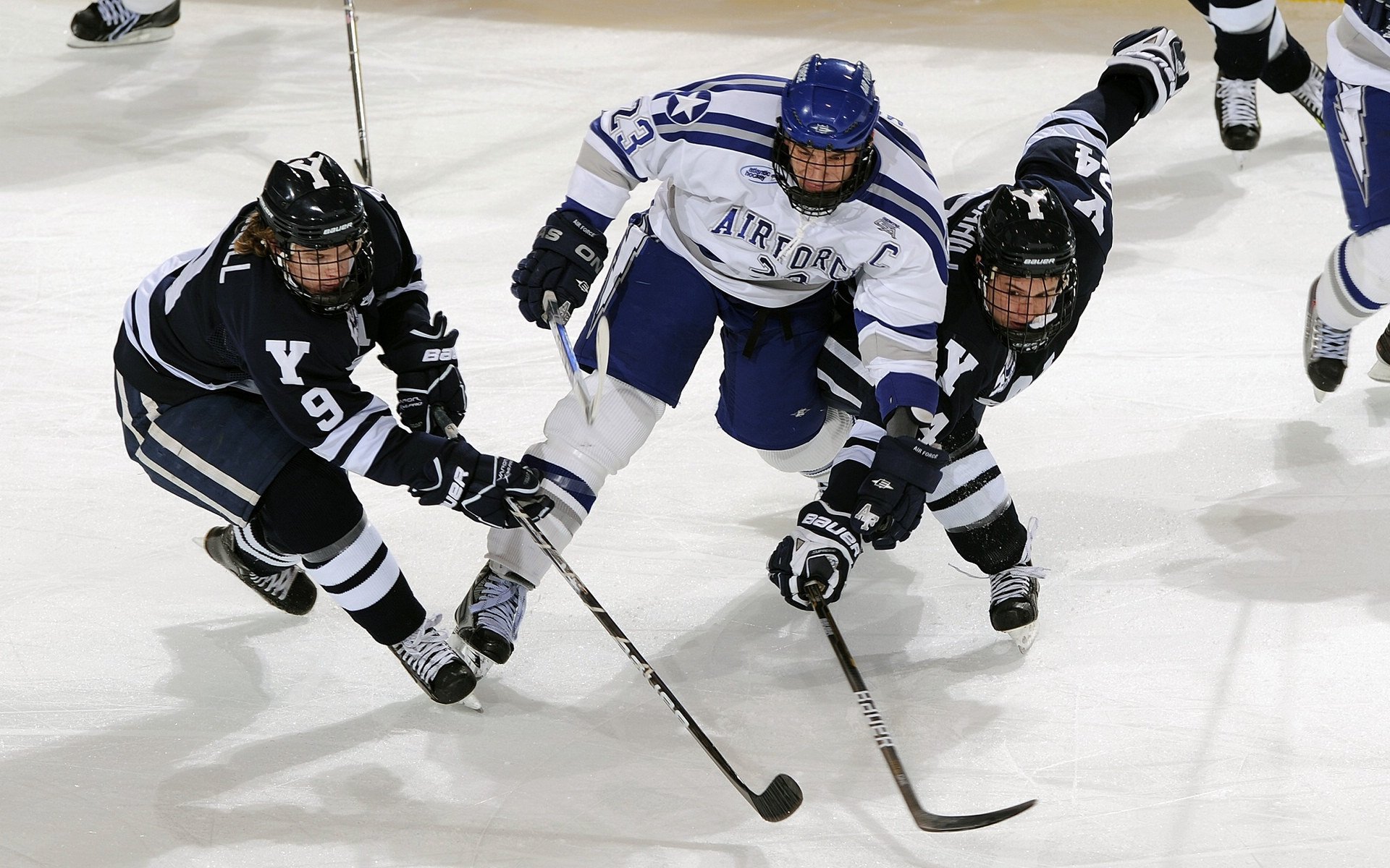 华体会app下载-城市马拉松沿线景观整治提升城市形象,城市马拉松产业链的解读分析