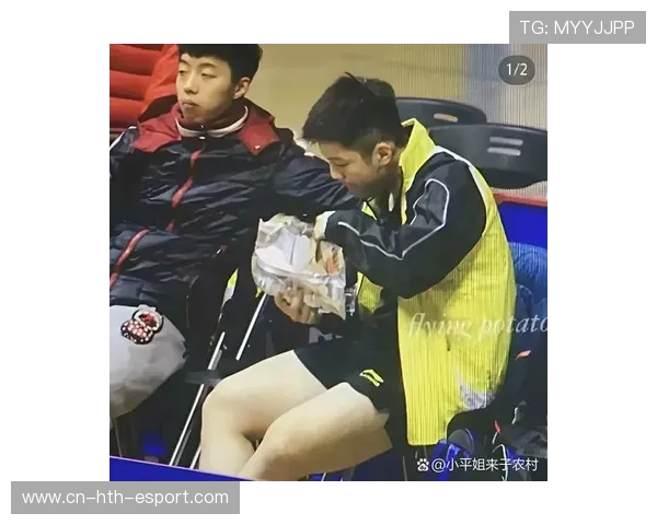 樊振东反手球获尹航高度评价，状态回归明显，樊振东 尹航